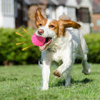 Petbabas Play Ball for Dogs