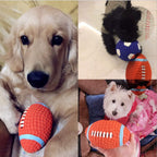 Petbabas Play Ball for Dogs and Pets