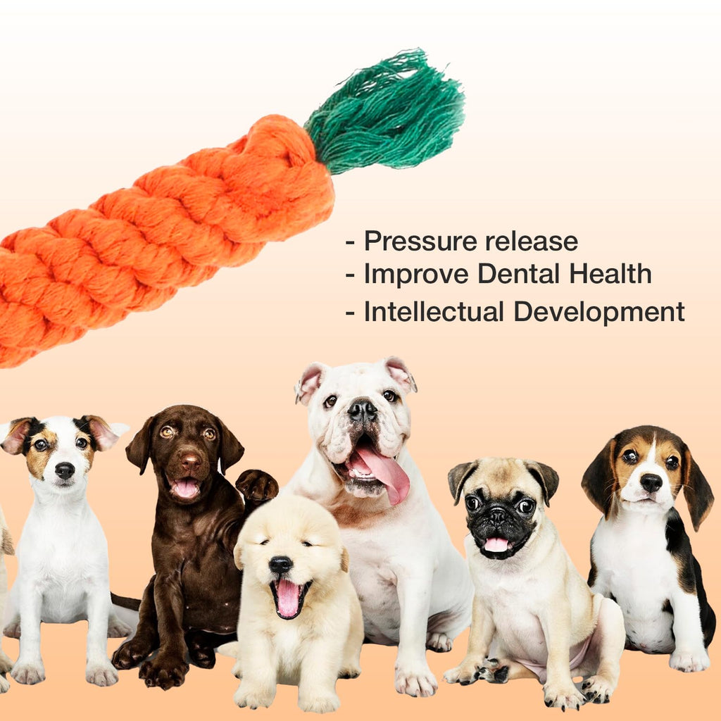 Petbabas Carrot Rope Toy for Dogs and Pets