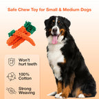 Petbabas Carrot Rope Toy for Dogs and Pets