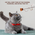 Petbabas Cat and Dog Playing Stick