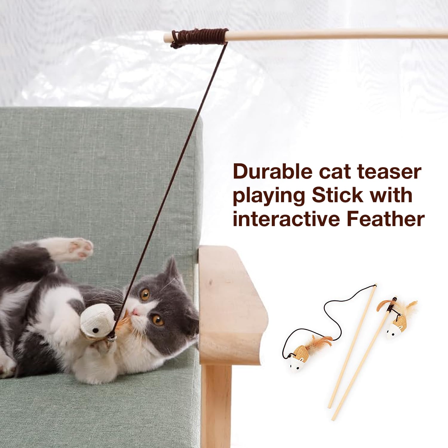 Petbabas Cat and Dog Playing Stick