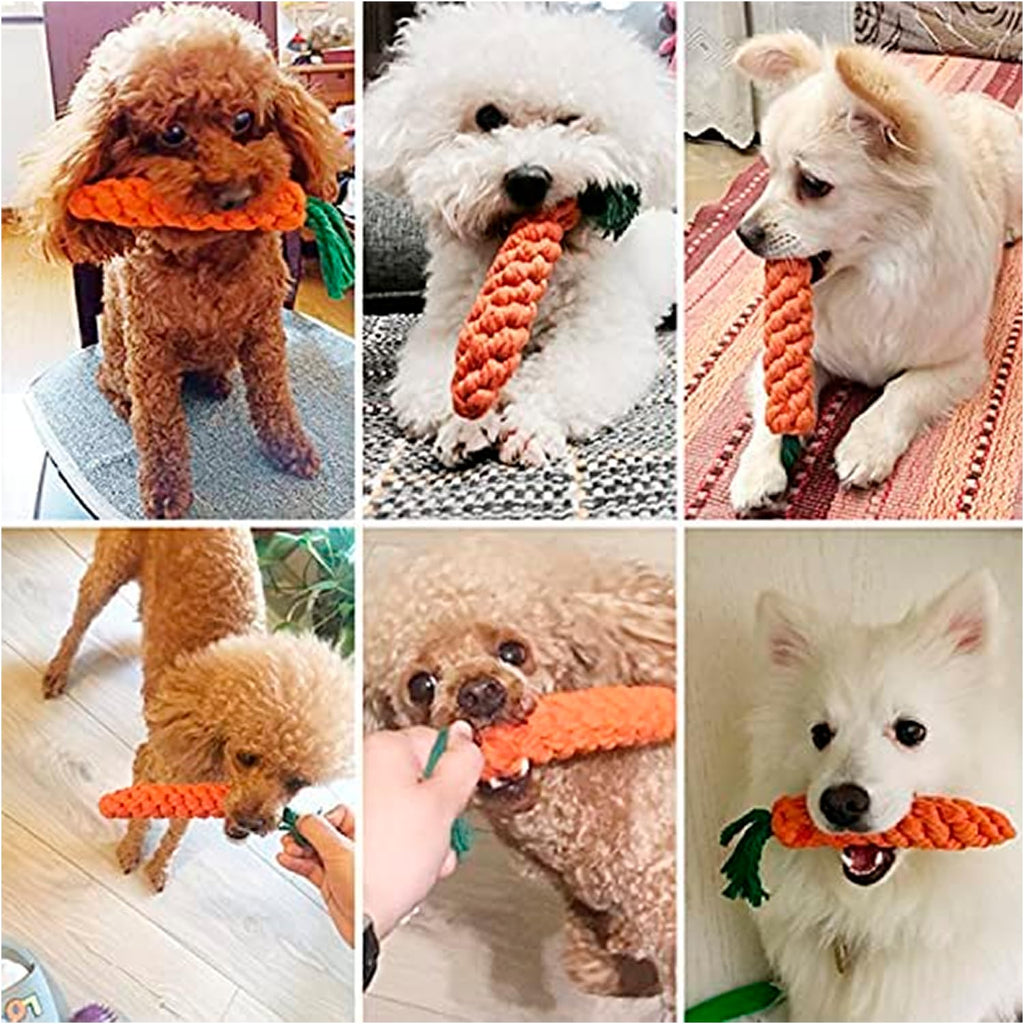 Petbabas Carrot Rope Toy for Dogs and Pets