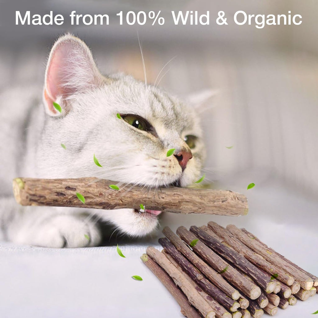 Petbabas 10Pcs Natural Silvervine Sticks