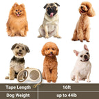 PETBABAS Adjustable Retractable Dog Leash