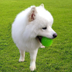 PETBABAS Dog Toy Super Durable TPR Rubber