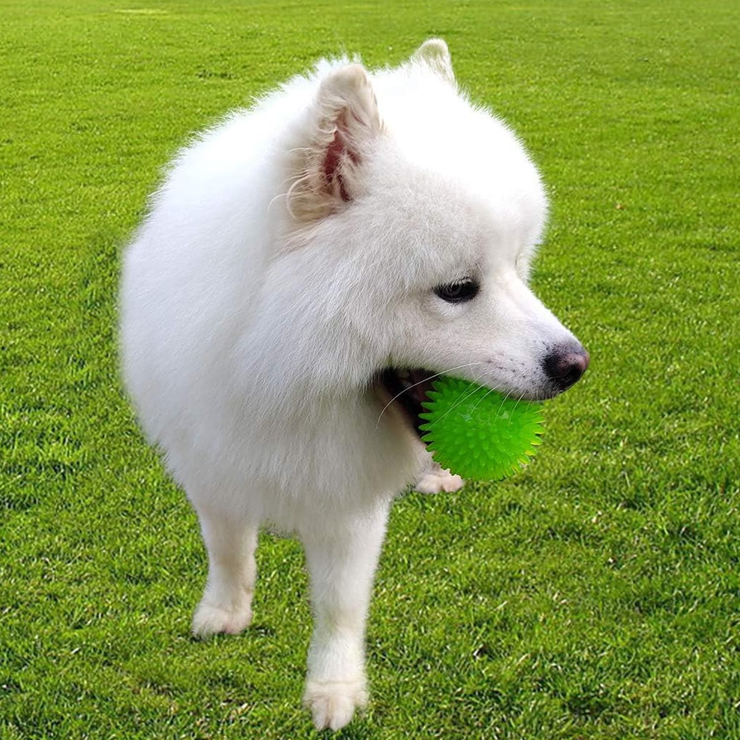 PETBABAS Dog Toy Super Durable TPR Rubber