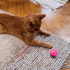 Petbabas Interactive Play Bell Ball for Dogs and Pets