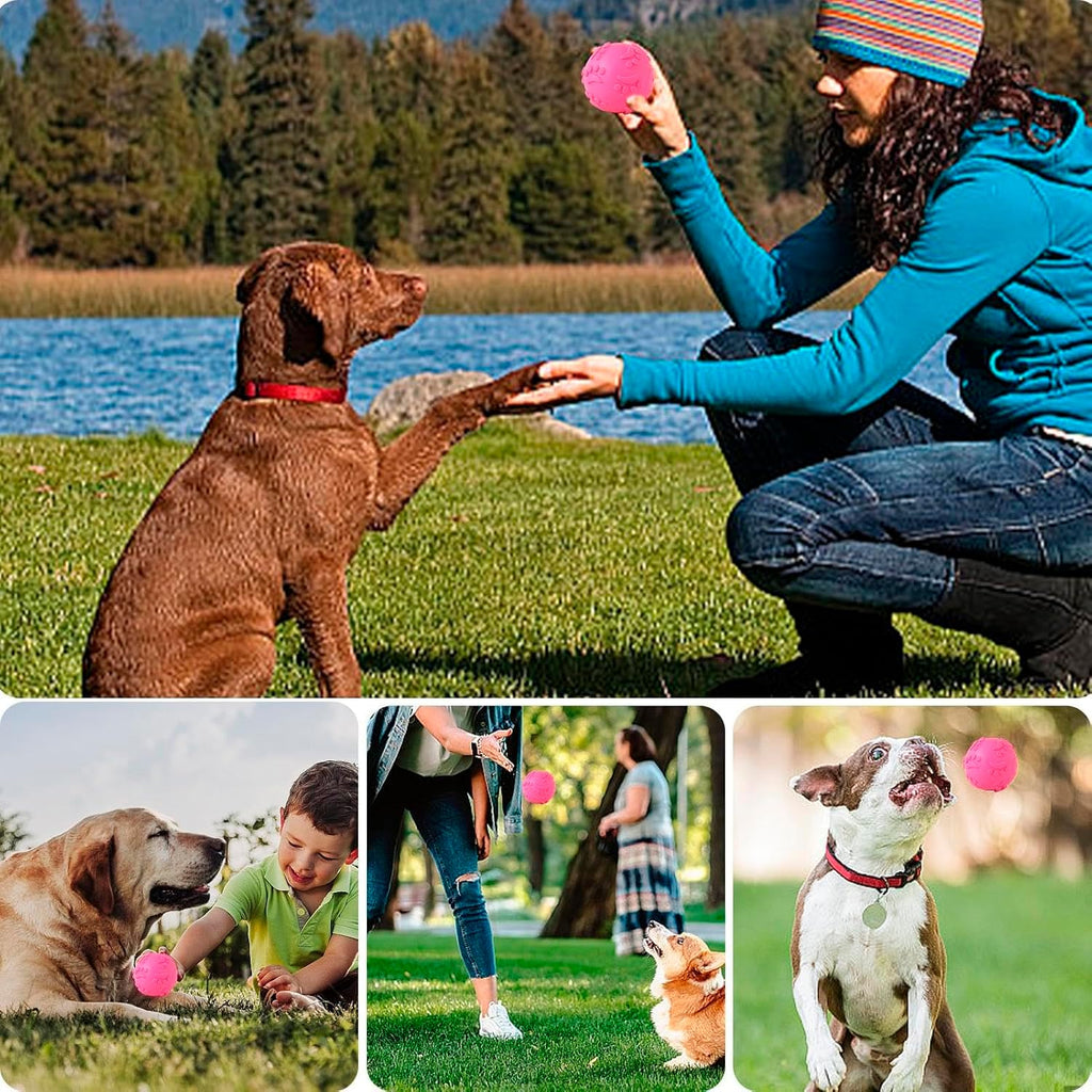 Petbabas Play Ball for Dogs