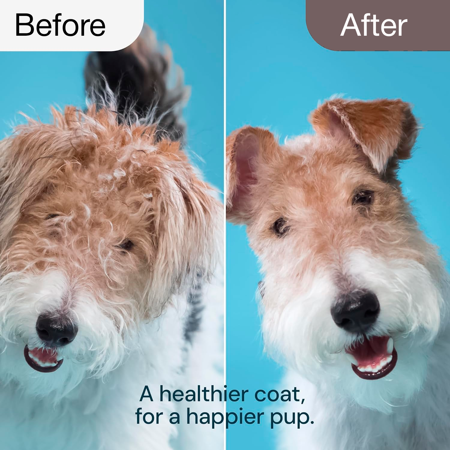 PETBABAS Dog Brush Dogs Comb, 2 in 1 Deshedding Tool