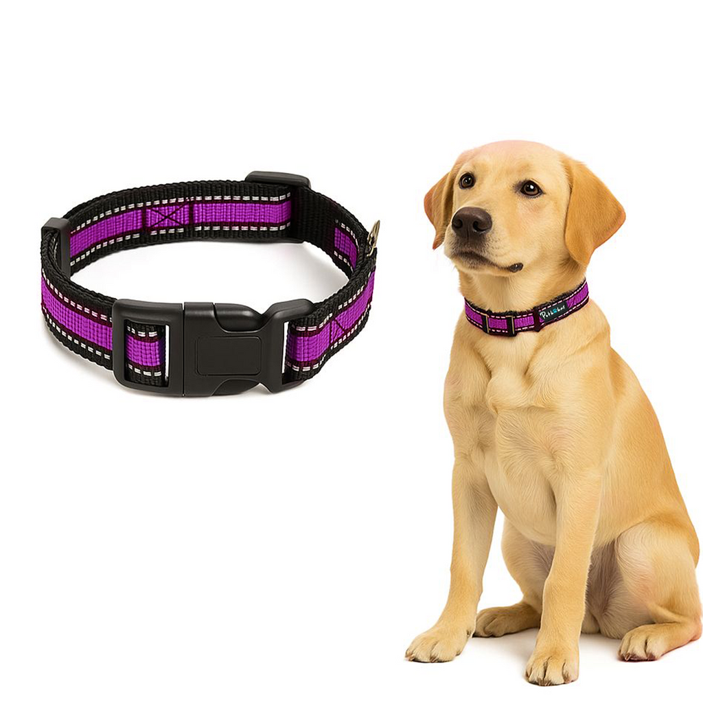 Petbabas Reflective Adjustable Pet Collar for Dogs and Cats