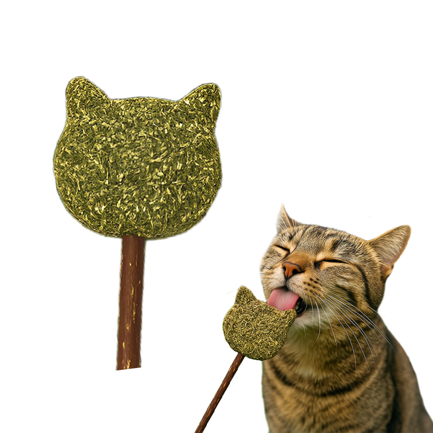 Petbabas Teddy-Shaped Cat Toy with Catnip