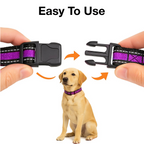 Petbabas Reflective Adjustable Pet Collar for Dogs and Cats