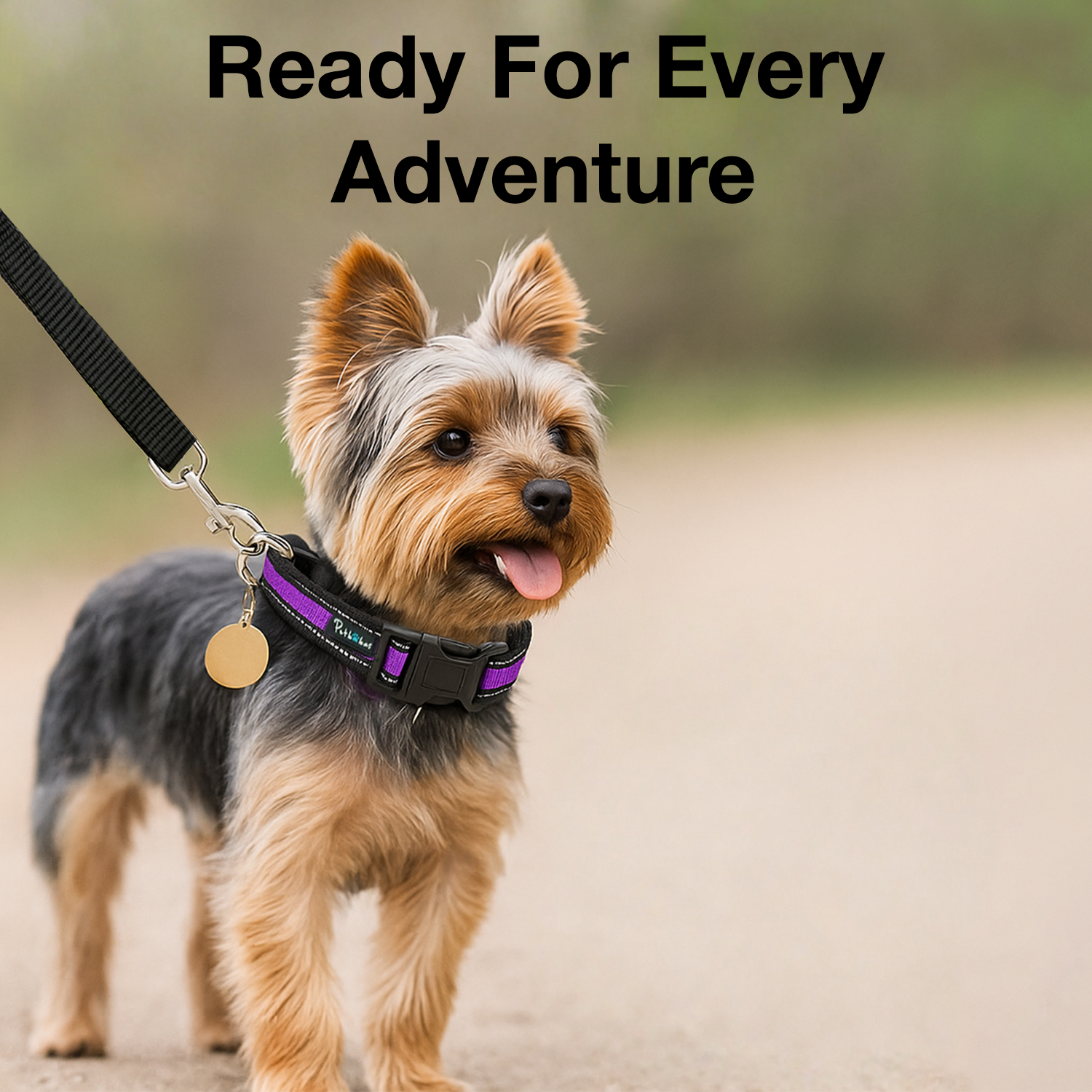 Petbabas Reflective Adjustable Pet Collar for Dogs and Cats