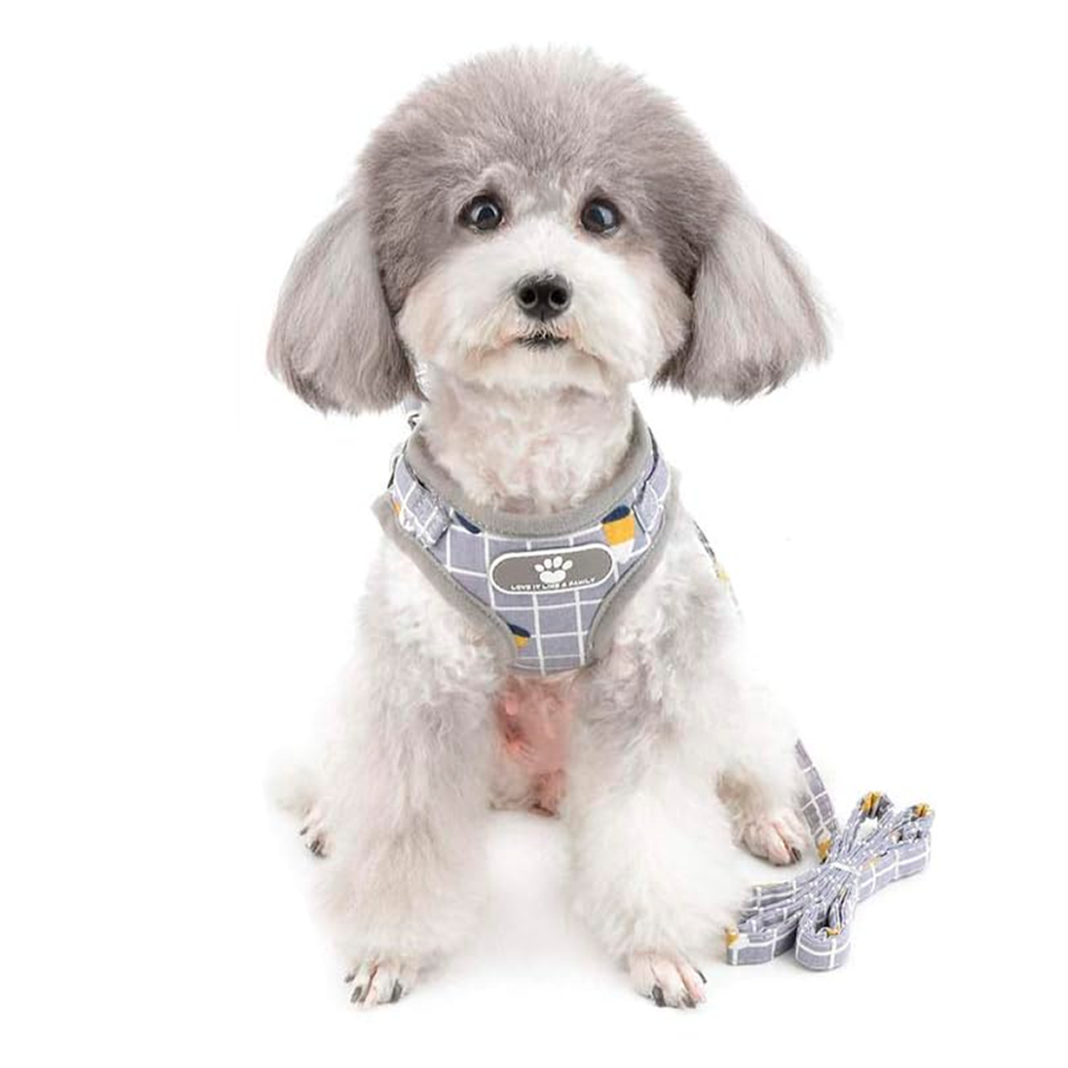 PETBABAS Adjustable Comfort Harness for Dog and Cat
