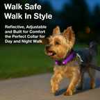 Petbabas Reflective Adjustable Pet Collar for Dogs and Cats