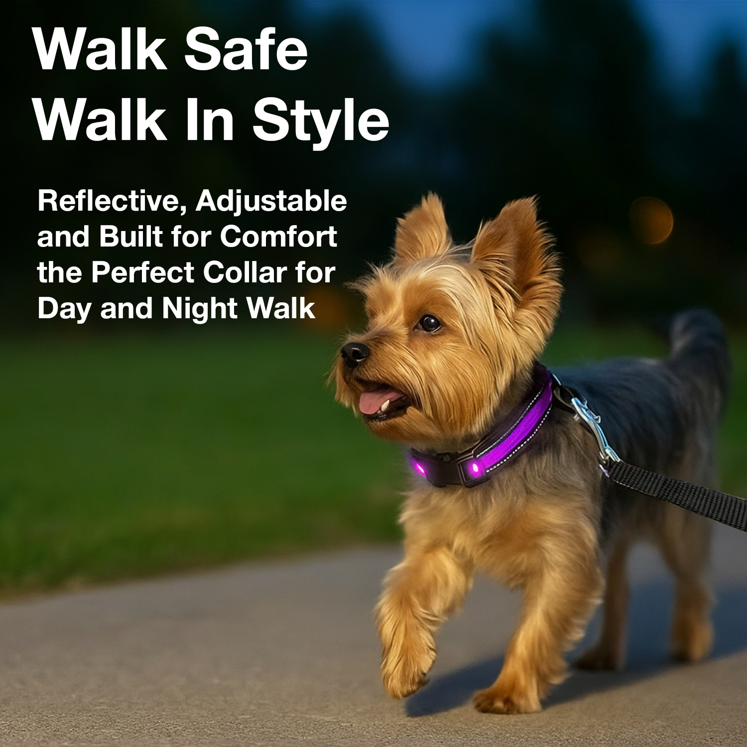 Petbabas Reflective Adjustable Pet Collar for Dogs and Cats