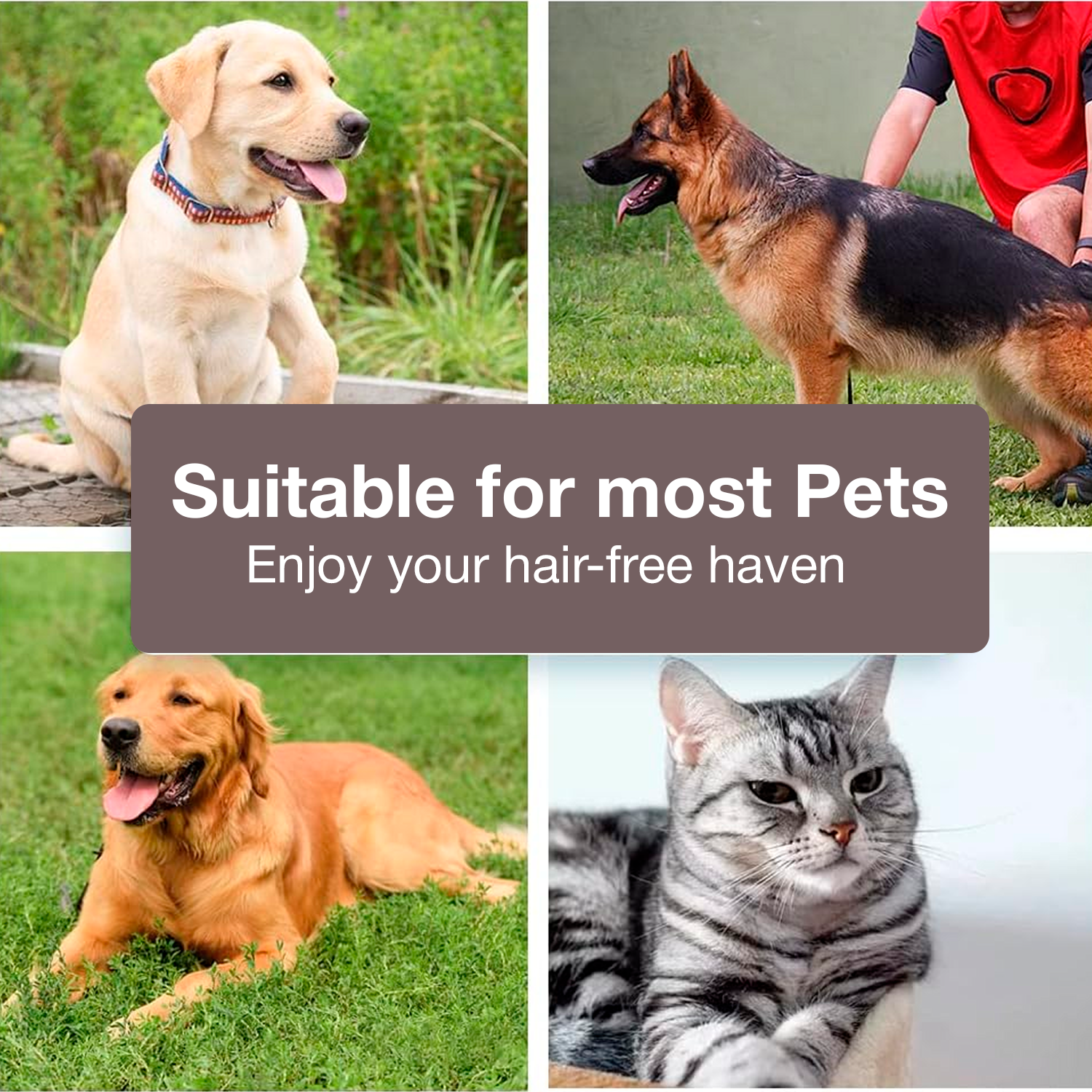 PETBABAS Dog Brush Dogs Comb, 2 in 1 Deshedding Tool