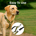 PETBABAS Dog Harness No Pull with Front Clip