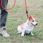 PETBABAS Reflective Adjustable Pet Leash for Dogs