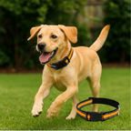 Petbabas Reflective Adjustable Pet Collar for Dogs and Cats
