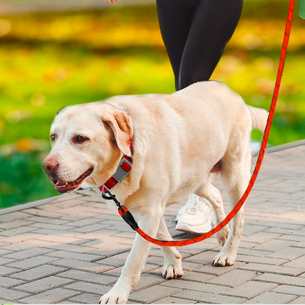 PETBABAS Reflective Adjustable Pet Leash for Dogs