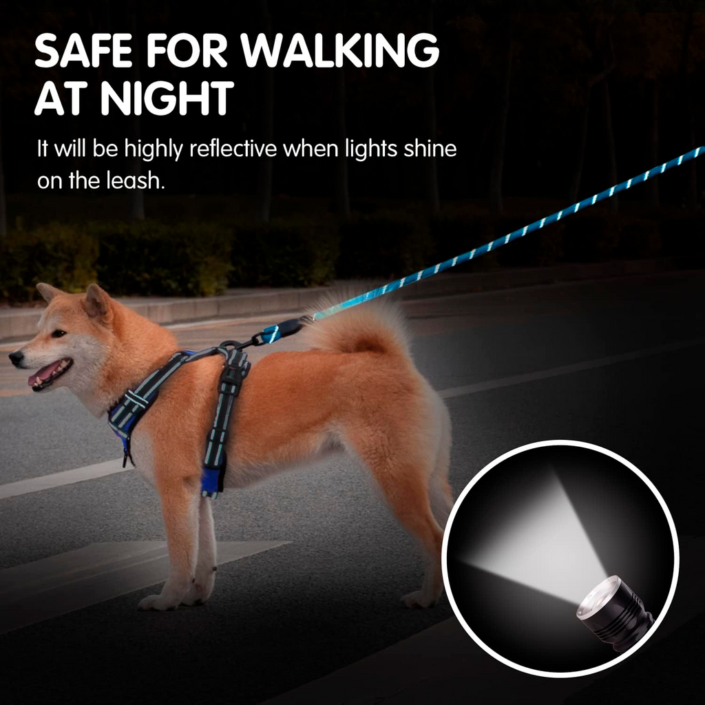 PETBABAS Reflective Adjustable Pet Leash for Dogs