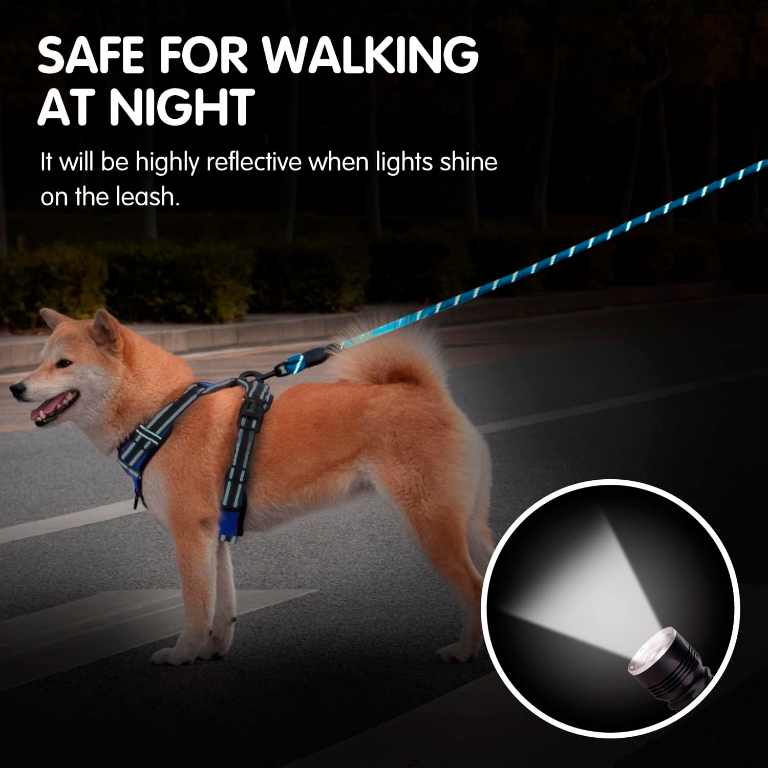 PETBABAS Reflective Adjustable Pet Leash for Dogs