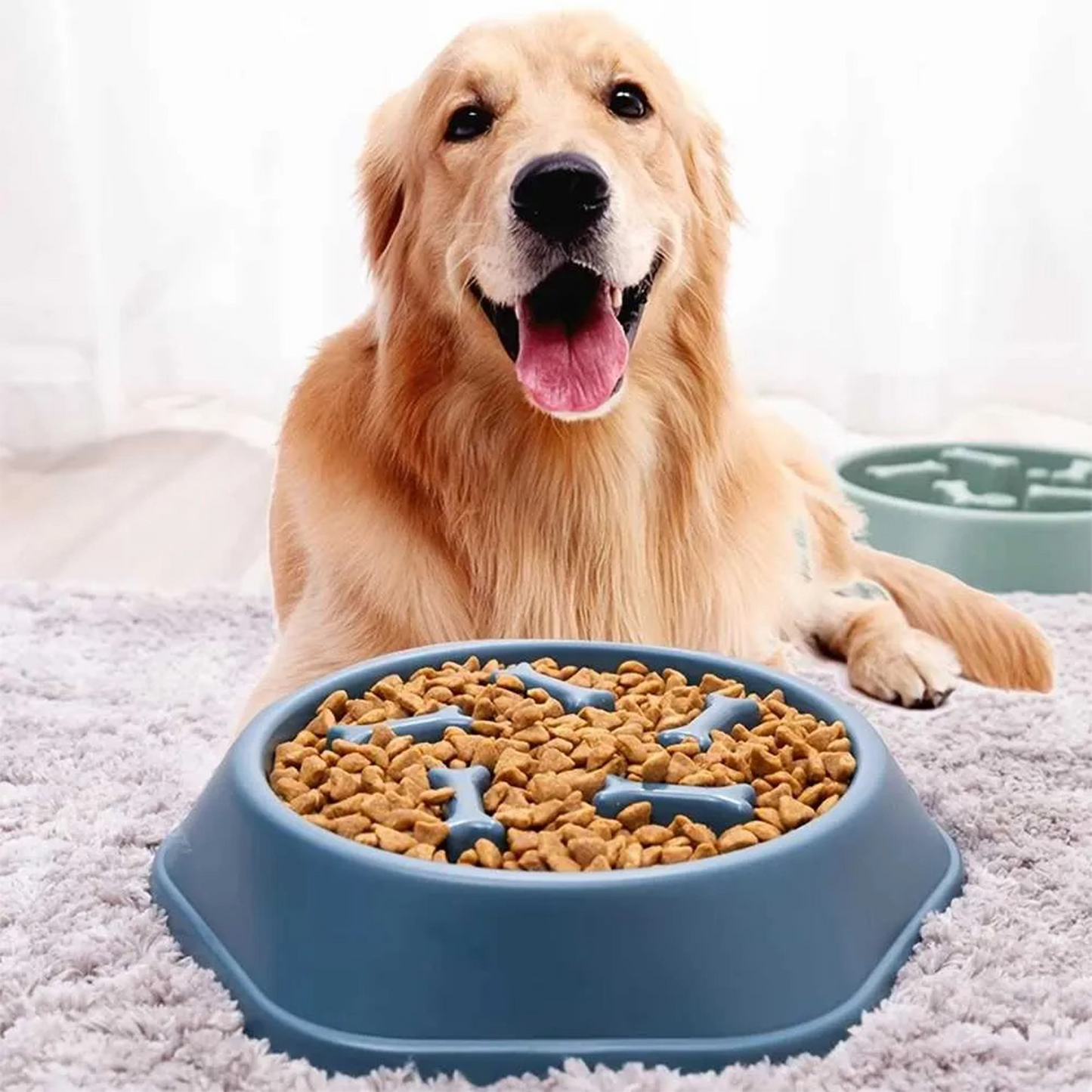 PETBABAS Durable Slow Feeder Bowl for Dogs