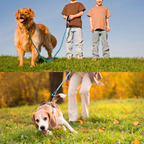 PETBABAS Reflective Adjustable Pet Leash for Dogs