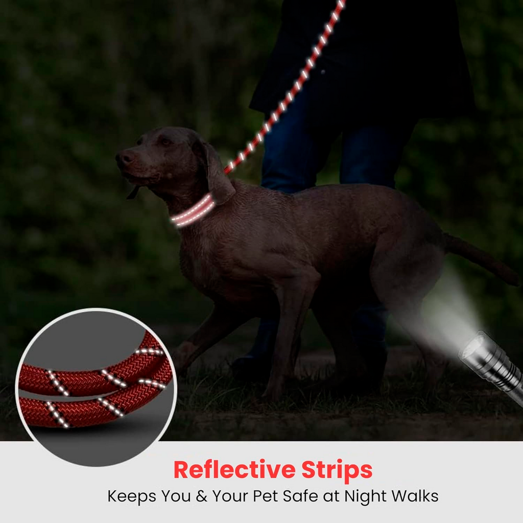 PETBABAS Reflective Adjustable Pet Leash for Dogs and Cats