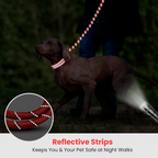 PETBABAS Reflective Adjustable Pet Leash for Dogs and Cats