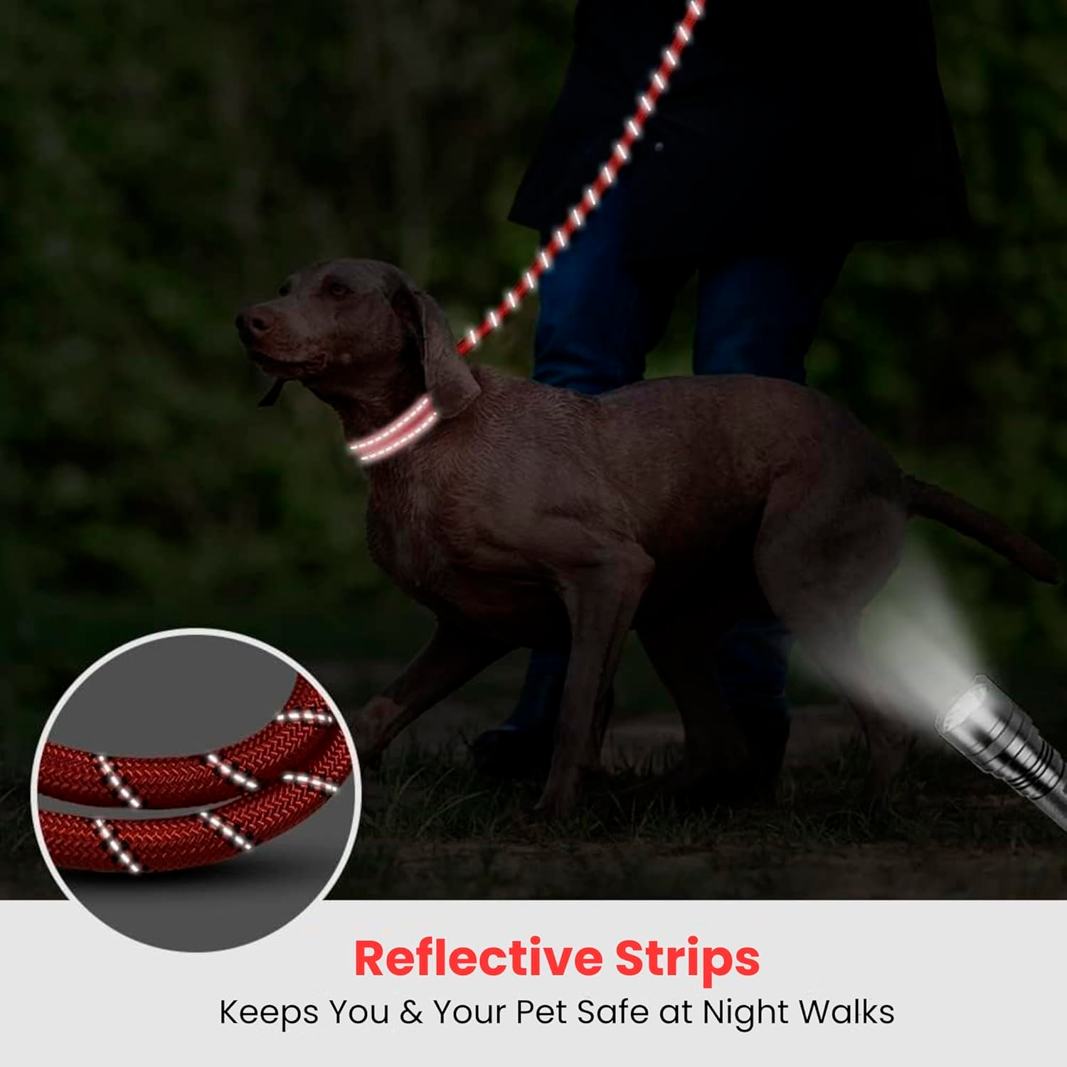 PETBABAS Reflective Adjustable Pet Leash for Dogs and Cats