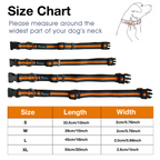 Petbabas Reflective Adjustable Pet Collar for Dogs and Cats