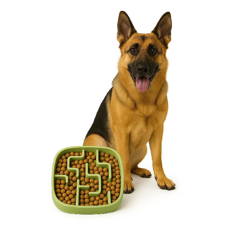 Petbabas Square Slow Feeder Bowl