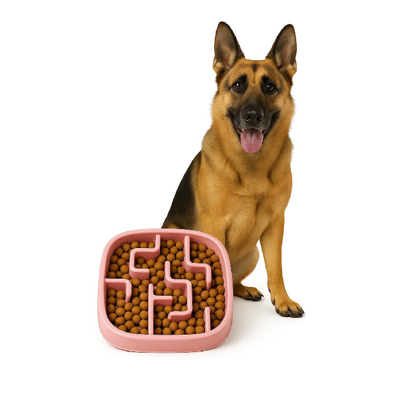 Petbabas Square Slow Feeder Bowl