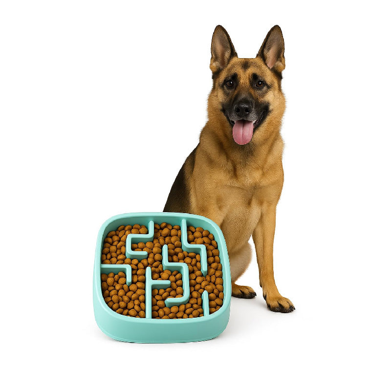 Petbabas Square Slow Feeder Bowl