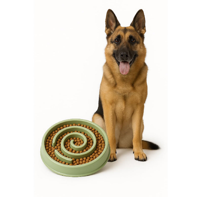 Petbabas Round Slow Feeder Bowl
