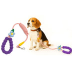 Petbabas Flower Leash