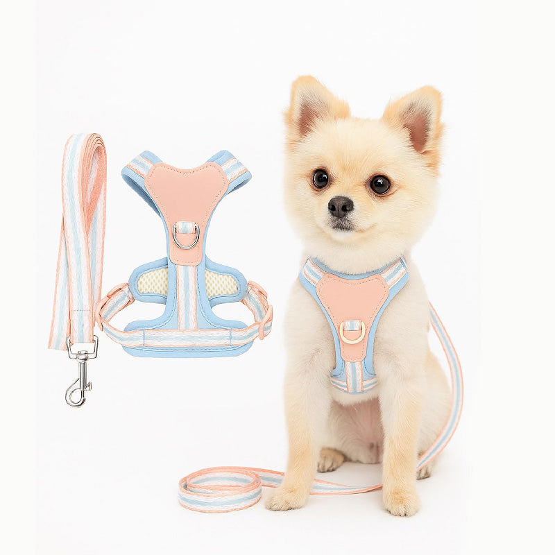 Petbabas Black cartoon harness