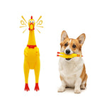 Squeaky Rubber Chicken Dog Toy