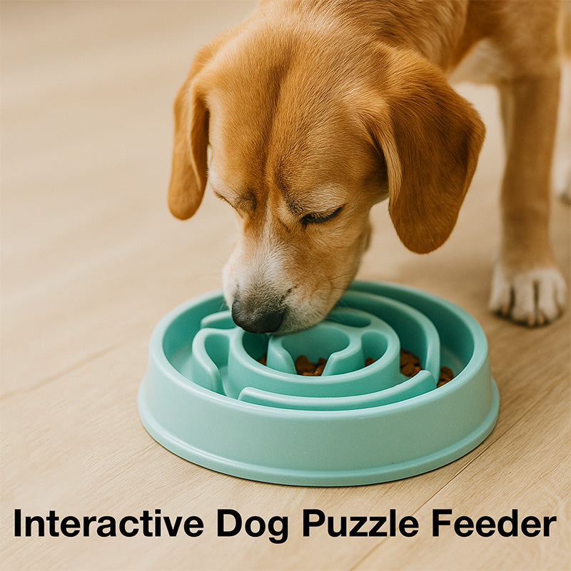 Petbabas Round Slow Feeder Bowl
